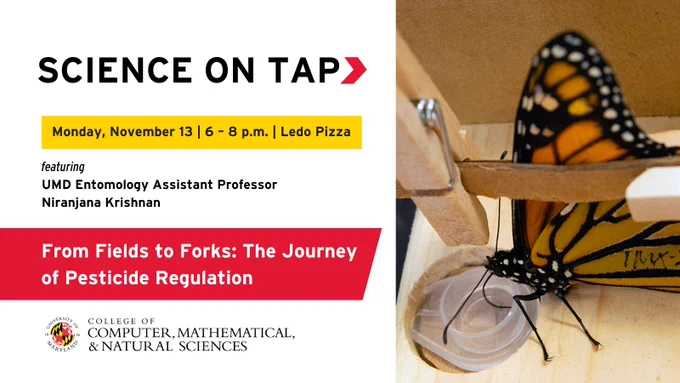 Science on Tap lecture 11/13