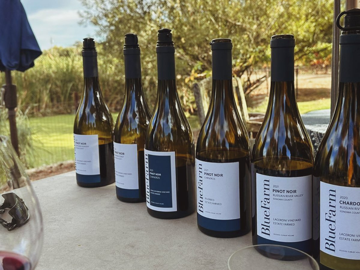 BohemiaSuites's tweet photo. Continuamos nuestro viaje por EEUU 🇺🇸 hasta el Condado de Sonoma, en California, famoso en todo el mundo por sus vinos, sus impresionantes paisajes y sus bodegas.🍷 Una de esas joyas es #BlueFarm, fundada en 2001 por Anne Moller-Racke. 🍇 https://t.co/pHldfY0fl5