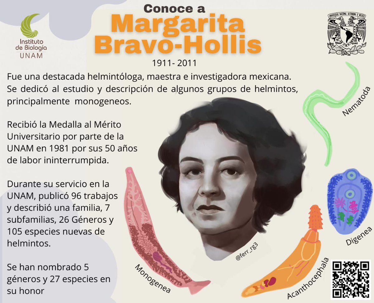 HelmintosIB's tweet photo. ¡Descubre a la Dra. Margarita Bravo Hollis! Pionera en el área de la helmintología, su legado perdura en el mundo de la ciencia. 🔬🪱👩🏽‍🔬#parasitologia #méxico 🇲🇽 #mujeresenlaciencia #biology #parasitology 
Infografía realizada por: Fernanda RivG https://t.co/k3UuSlCPTK