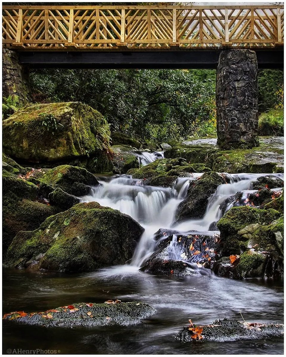 AHenryPhoto's tweet photo. Under the bridge at Tollymore Forest 🍁

@wearetrekni @ThePhotoHour @BelfastHourNI @DiscoverNI @boutyeh @TourismIreland  #photography #forest #river #waterfall #northernireland #bridge #autumnleaves #autumn https://t.co/Z8Wzdx9Tg8