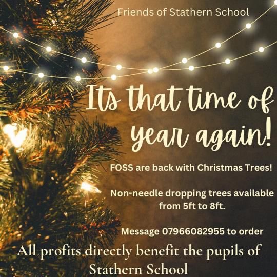 stathernprimary's tweet photo. All excited for Christmas… order your tree as soon as possible! Last year we sold out! https://t.co/AcFVdt3v5n