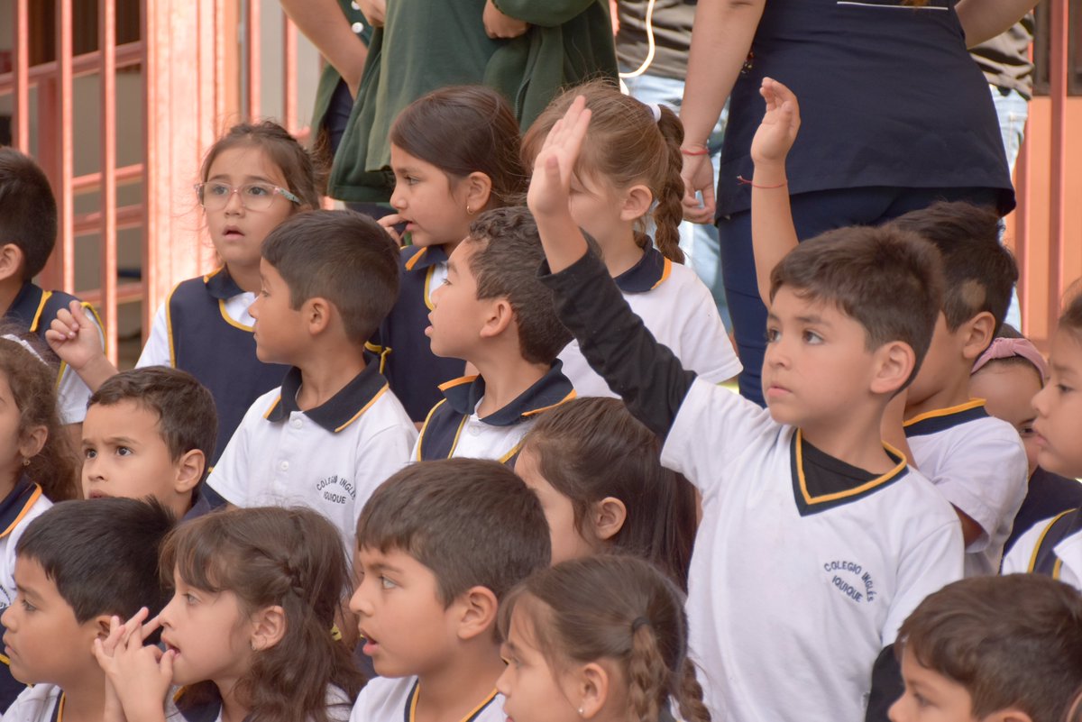 ExploraTarapaca's tweet photo. #MiniPipe 🦕

📌Junto a nuestro asesor científico, el paleontólogo de la Fundación ProPaleo, Dario Bravo, realizamos una educativa charla sobre el tesoro paleontológico de #Tarapacá a niñas y niños de kinder y prekinder del Colegio Inglés de #Iquique 🦖 https://t.co/fygtXYX2ef