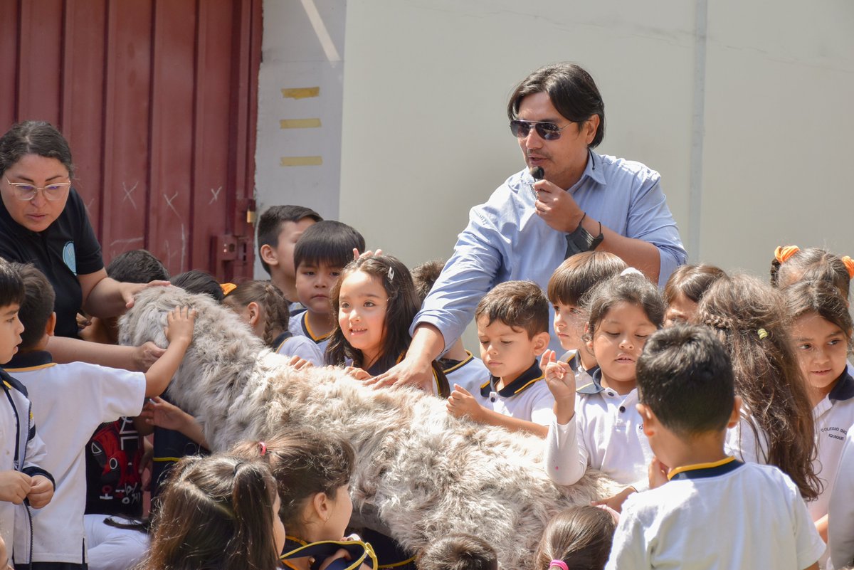 ExploraTarapaca's tweet photo. #MiniPipe 🦕

📌Junto a nuestro asesor científico, el paleontólogo de la Fundación ProPaleo, Dario Bravo, realizamos una educativa charla sobre el tesoro paleontológico de #Tarapacá a niñas y niños de kinder y prekinder del Colegio Inglés de #Iquique 🦖 https://t.co/fygtXYX2ef