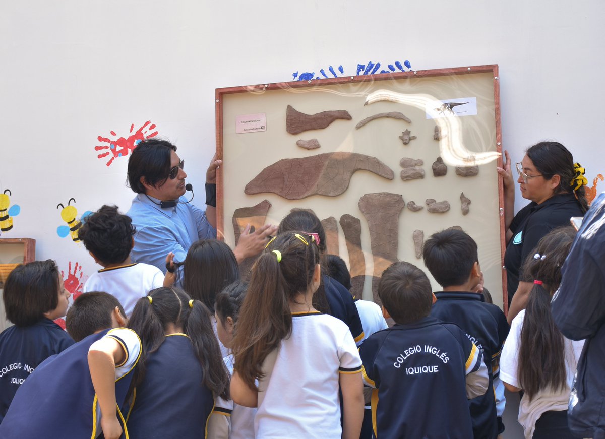 ExploraTarapaca's tweet photo. #MiniPipe 🦕

📌Junto a nuestro asesor científico, el paleontólogo de la Fundación ProPaleo, Dario Bravo, realizamos una educativa charla sobre el tesoro paleontológico de #Tarapacá a niñas y niños de kinder y prekinder del Colegio Inglés de #Iquique 🦖 https://t.co/fygtXYX2ef