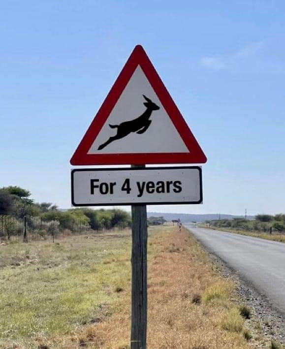 WhiteSpaceLieOn's tweet photo. Just like that #Springboks https://t.co/l2gzuKksrE