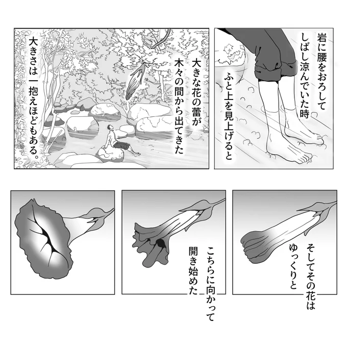 自慢の花の話 2/2 