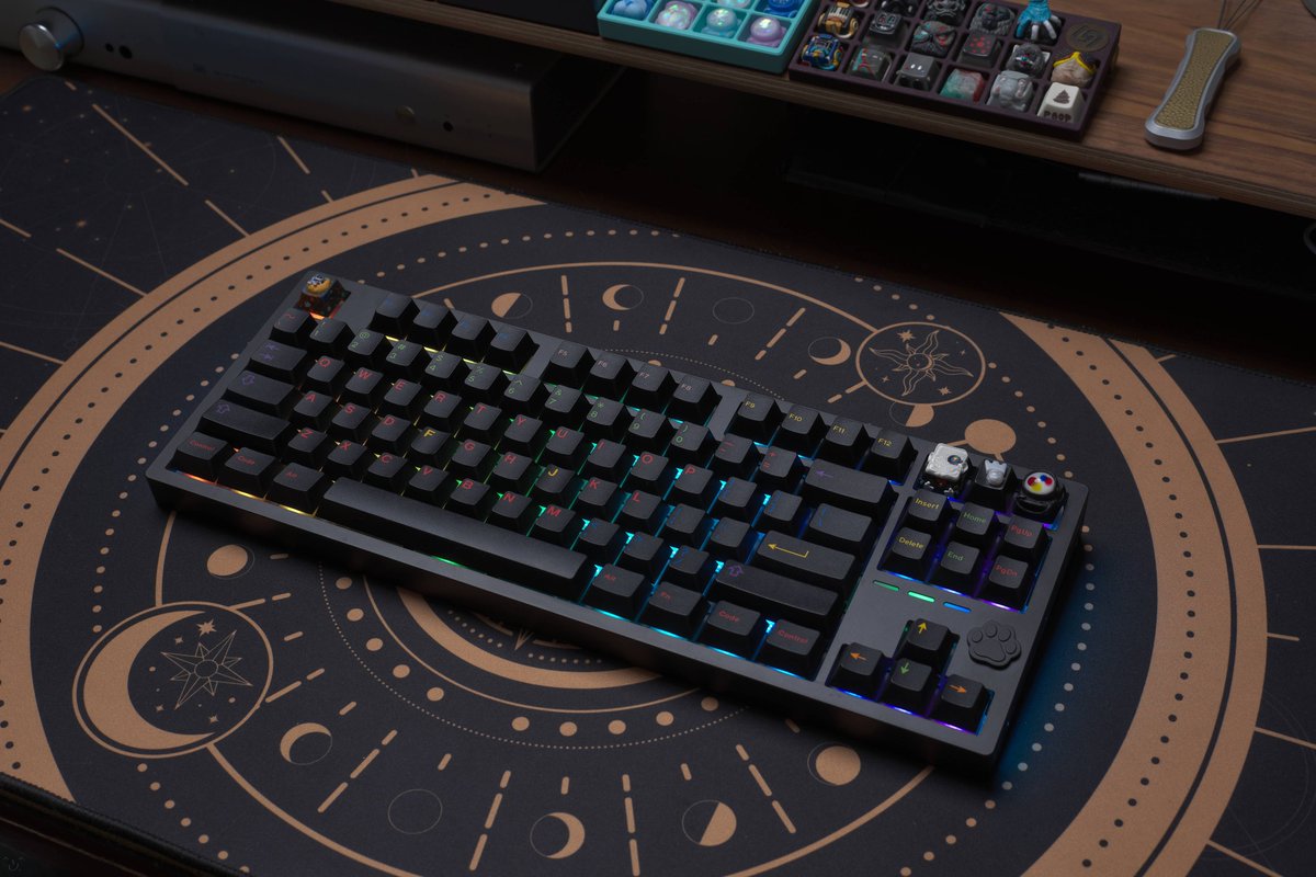 CannonKeys tweet media