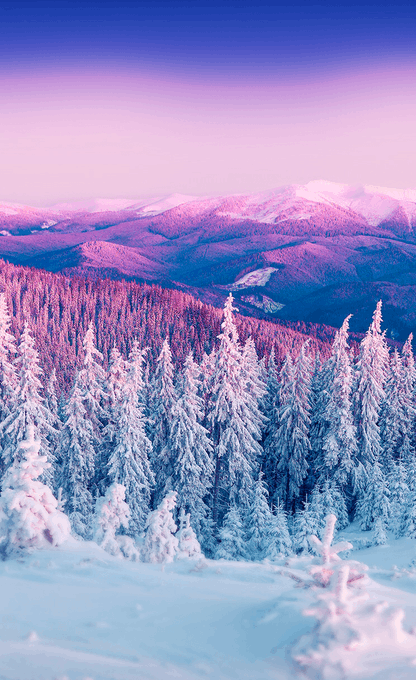 Bonnyyy88's tweet photo. Beautiful winter dawn colors  ❄️ https://t.co/y0lBUGrHWQ