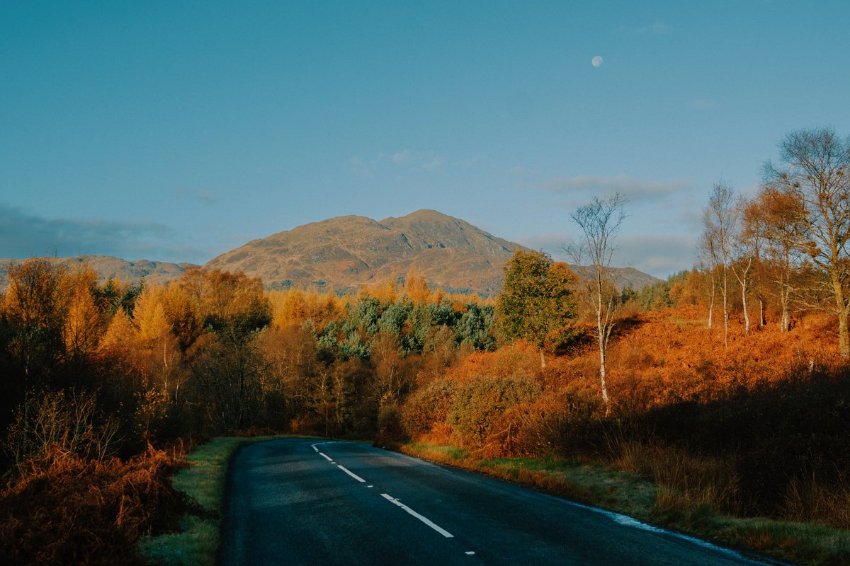 DanielCasson1's tweet photo. Autumn moments 🍂 // https://t.co/0YadwK729d