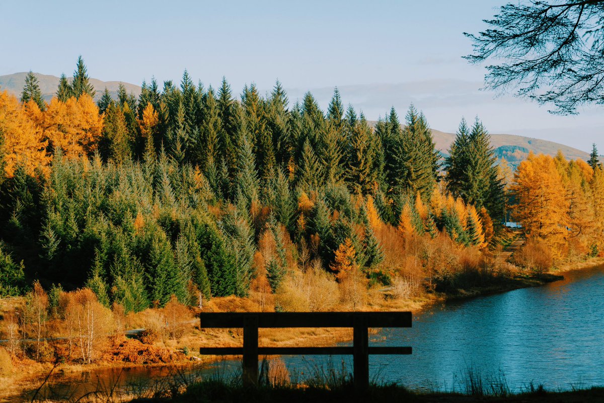 DanielCasson1's tweet photo. Autumn moments 🍂 // https://t.co/0YadwK729d