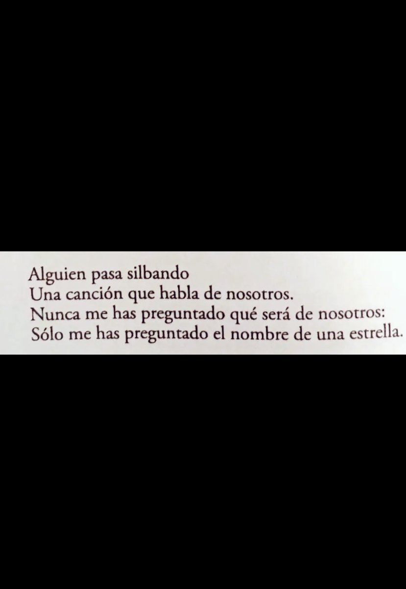 Alba 🦁 tweet media