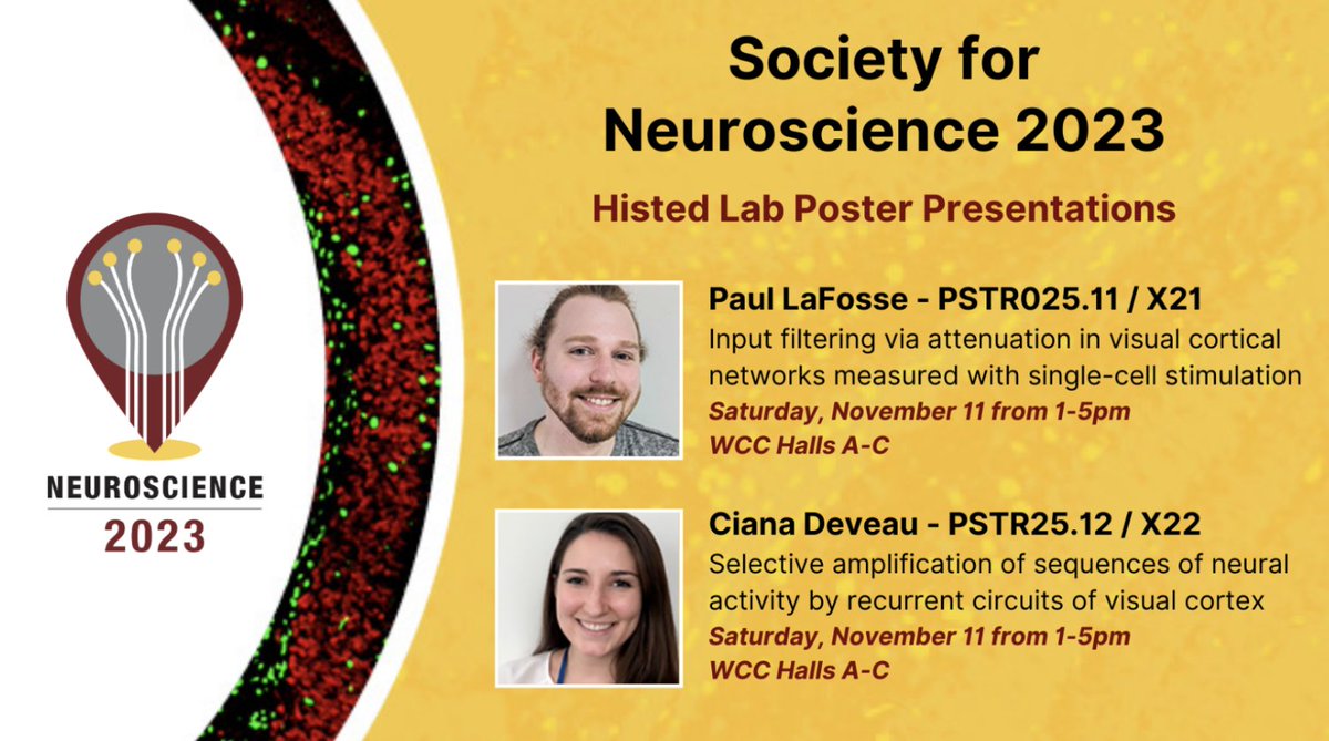 Mark Histed-🧠 Lab (@histedlab) on Twitter photo Tough times in the world right now, but will share this:
If you're attending SFN in DC this wknd, we have 2 posters on Sat I'm excited about.
<a href="/pklafosse/">Paul LaFosse</a> is presenting work on activation functions in cortical neurons,& <a href="/CianaDeveau/">Ciana Deveau</a> on cortical recurrent nets 'doing sequences.'1/2 Tough times in the world right now, but will share this:
If you're attending SFN in DC this wknd, we have 2 posters on Sat I'm excited about.
<a href="/pklafosse/">Paul LaFosse</a> is presenting work on activation functions in cortical neurons,& <a href="/CianaDeveau/">Ciana Deveau</a> on cortical recurrent nets 'doing sequences.'1/2