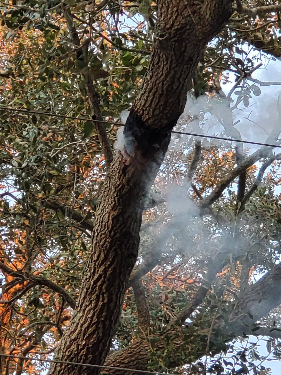 Joseph Abad tweet media