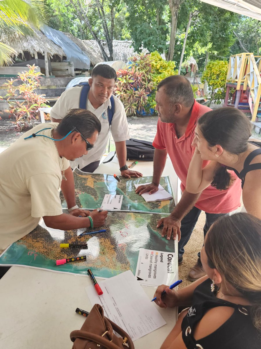 JaramarV's tweet photo. We had over 200 people representing local communities,  government, tourist operators, NGOs and academics in the 1st stakeholder consultation process towards the development of the National Mangrove Restoration Plan for Belize! Socioecological mangrove restoration is possible! https://t.co/t0Rk8OuPoK