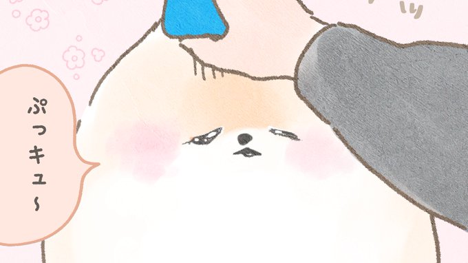 「headpat petting」 illustration images(Latest)
