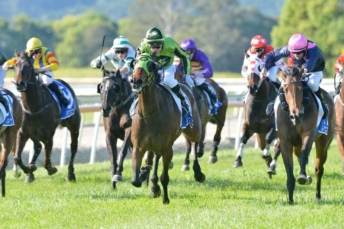 RacingShailer's tweet photo. 🏇🚨RACING TODAY🚨🏇

📍 @EagleFarmRacing 
🔹R8- #VIADELAMORE📸

📍 @thebrookracing 
🔹R6- #NARNIA

Good luck to all involved! 

#shailerracing #raceday #racewithus #thoroughbreds #racehorse #race #thoroughbredhorse #thoroughbred #horse #horses #horseracing #horsepower https://t.co/XB31yn6a37