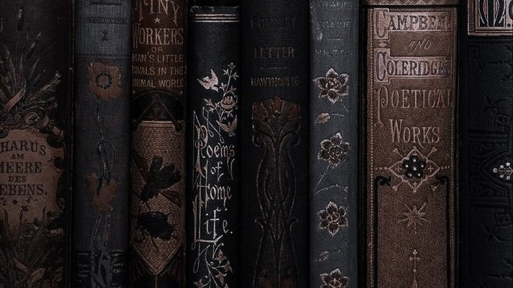 ᅠ ᅠ 𝒌𝐢𝐭𝐭𝐲 𝒛𝐚𝐫𝐩𝐚𝐬𝐥𝐚𝐫𝐠𝐚𝐬. (@gataencubierta) on Twitter photo 