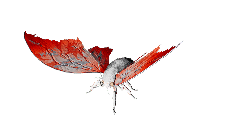 With the Oviraptor and Dung Beetle having got TLCs, I think the Lymantria should get a TLC too. It should be able to passively make silk.

Yay or nay? #playARK #ARKSurvivalAscended