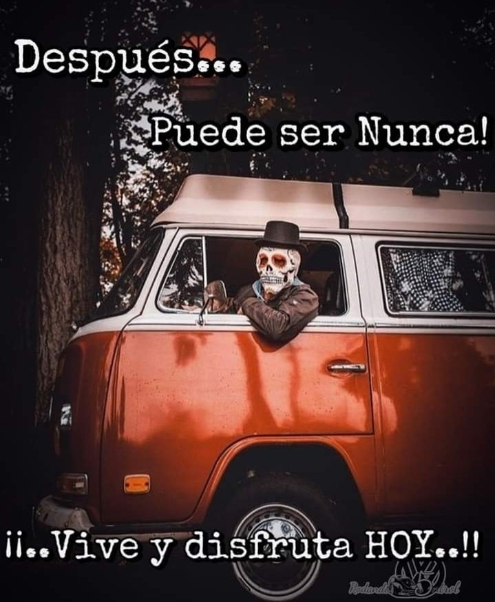 Ines Castillo Perez (@cartilloines) on Twitter photo 