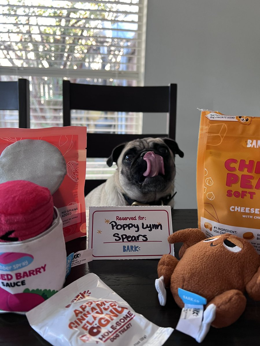 HugoLeos's tweet photo. She is excited! #BarkBoxDay https://t.co/lrBTg1cbPs