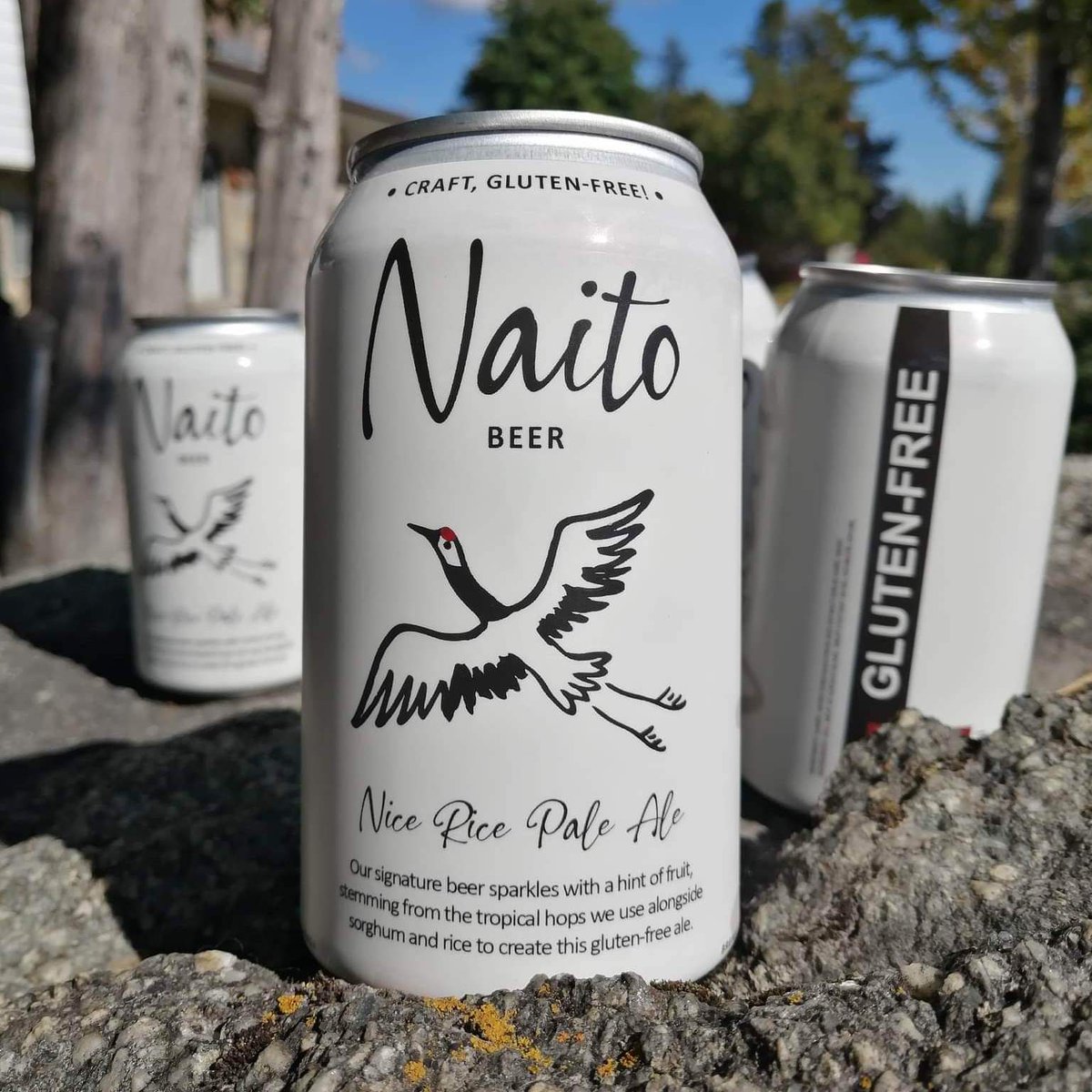 🍺WELCOME NEW GUILD MEMBER <a href="/NaitoBeer/">Naito Beer</a> (Surprise Brewery)
LOCATION: Cranbrook
INFO: Beer with a purpose, brewed with passion.The first dedicated gluten-free craft brewery in BC.
NOTE: This is a production site only / no on-site store tasting room. Check their IG page for updates.