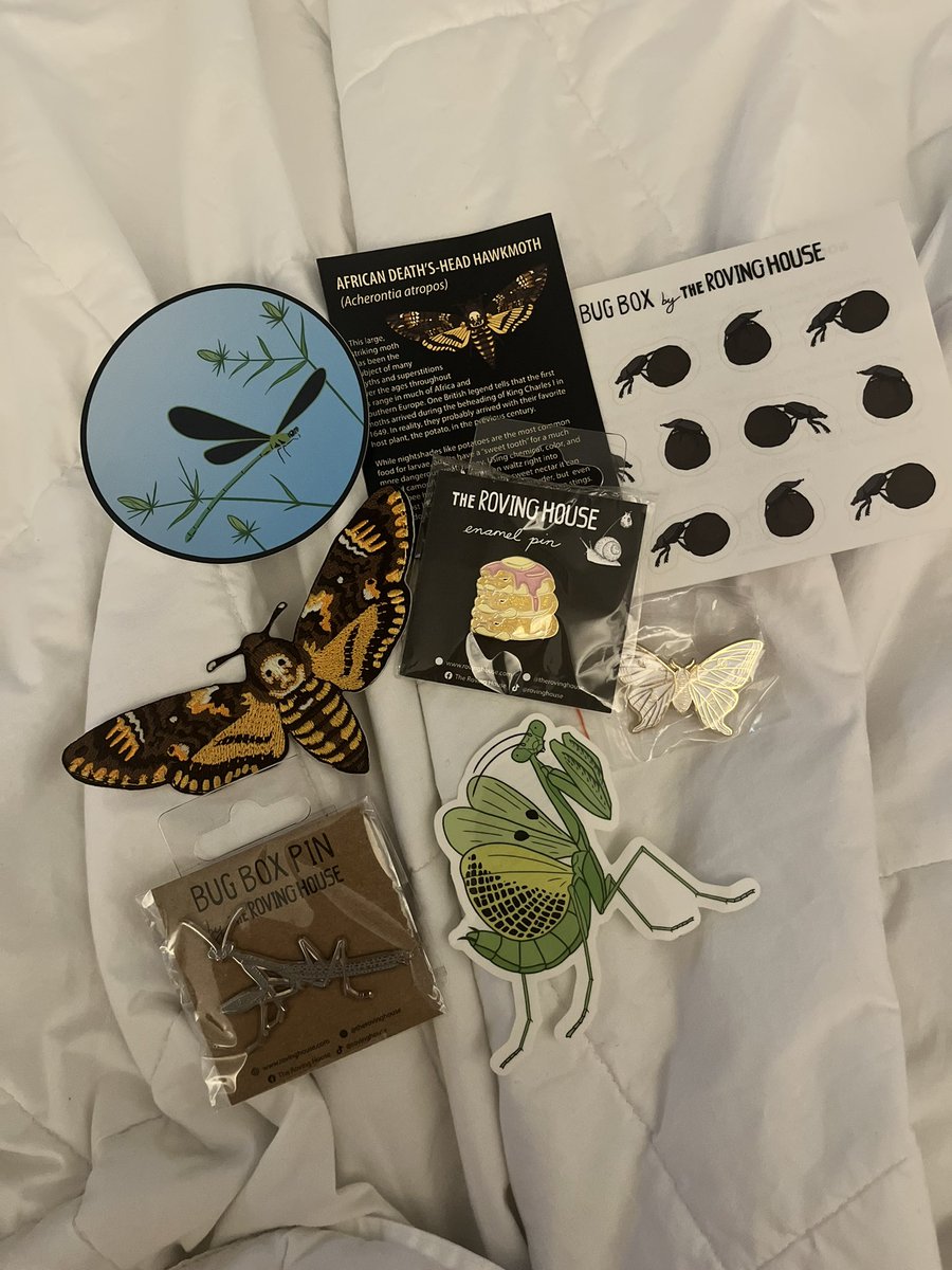 Lauren Weidner, Ph.D., D-ABFE (@drlaurenweidner) on Twitter photo If you’re at #EntSoc23 you NEED to check out <a href="/RovingHouse/">The Roving House</a> and definitely get a mystery bag!! 100% Worth it If you’re at #EntSoc23 you NEED to check out <a href="/RovingHouse/">The Roving House</a> and definitely get a mystery bag!! 100% Worth it
