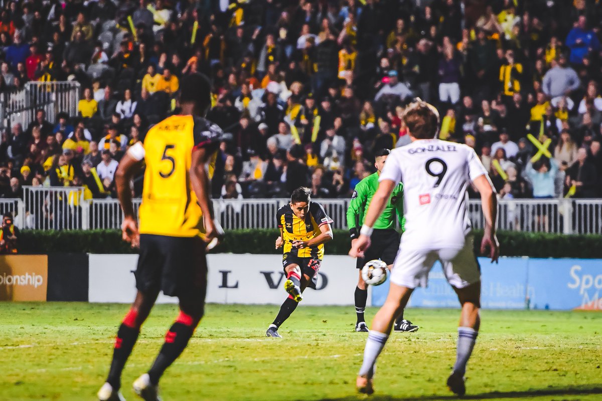 ･ ｡
 ☆∴｡　*
　･ﾟ*｡★･
　　･ *ﾟ｡　　 *
　 ･ ﾟ*｡･ﾟ★｡
　　　☆ﾟ･｡°*. ﾟ
*　　ﾟ｡·*･｡ ﾟ*
　　　ﾟ *.｡☆｡★　･
　　* ☆ ｡･ﾟ*.｡
　　　 *　★ ﾟ･｡ *  ｡
　　　　･　　ﾟ　　｡