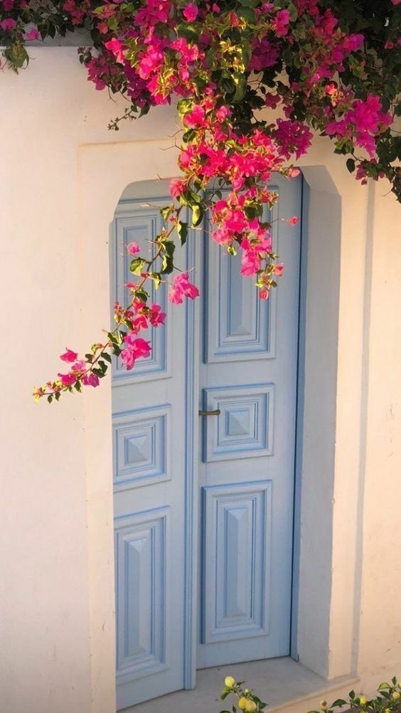 𝒩𝒹𝒾𝓋𝒽𝓊𝓌𝑜 (@ndi_the_lioness) on Twitter photo 