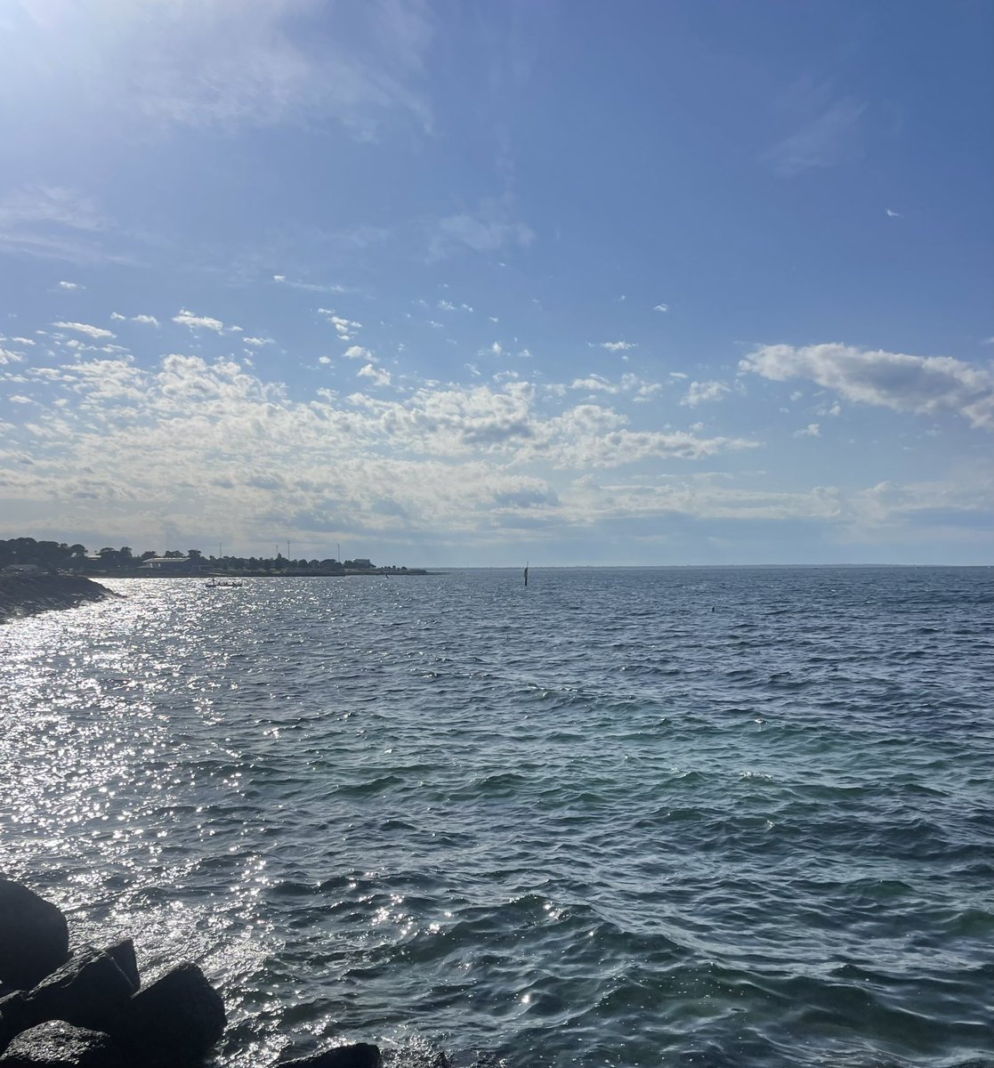 Simon Milligan tweet media