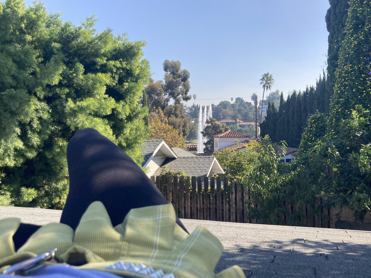 People who say they don’t like LA are lying !!!