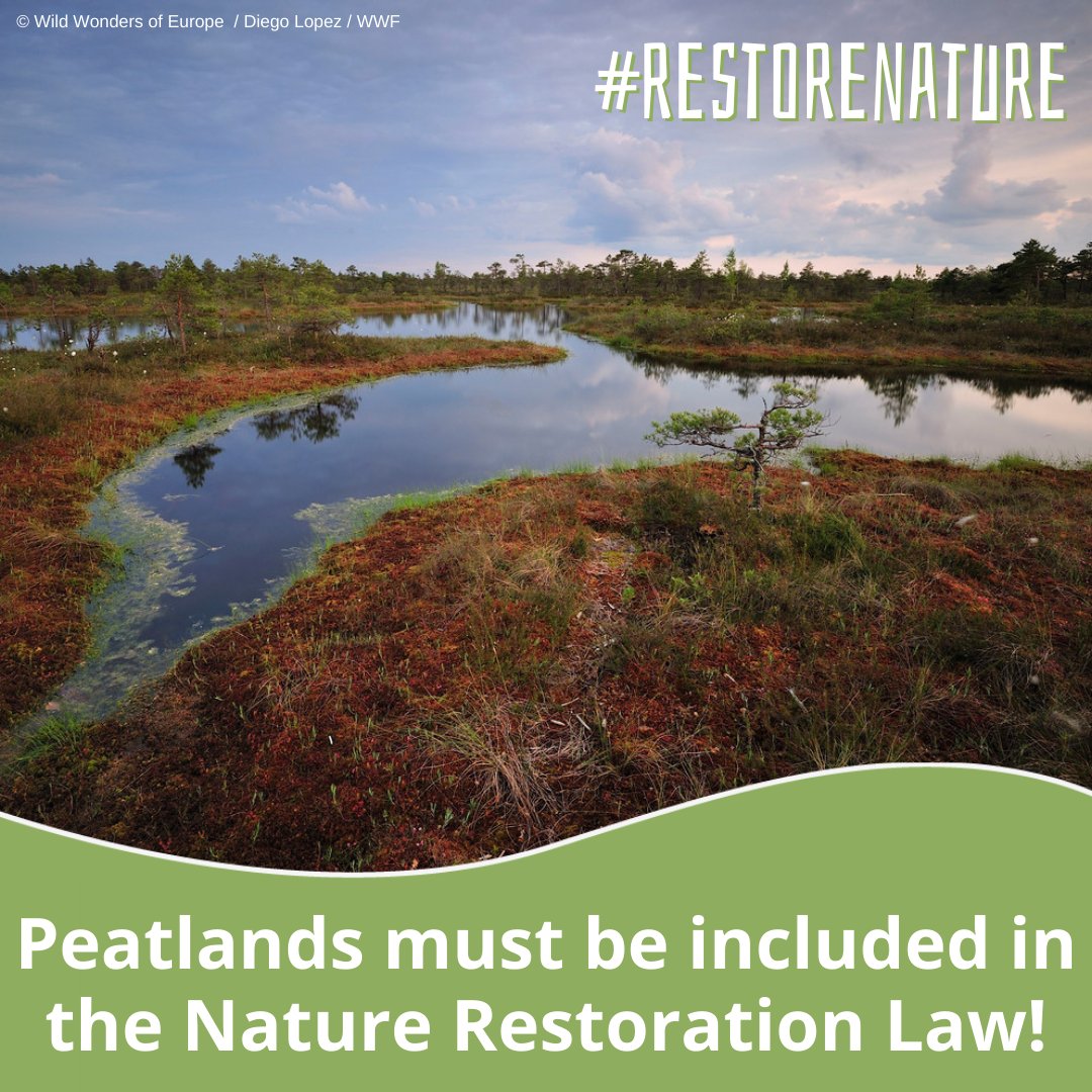 DNR_biodiv's tweet photo. #Agrarökosysteme und #Moore (Art.9) gehören unbedingt in das EU-#Renaturierungsgesetz!
Auch nachsteuern:
👉Ziele (Art.4 &amp; 5) 
👉Verschlechterungsverbot
👉#Wald (Art.10)
👉Finanzierung (Art.11)
👉Klagerechte
@cesarluena @Teresaribera @VSinkevicius @JuttaPaulusRLP
#RestoreNature https://t.co/1354taKB7R