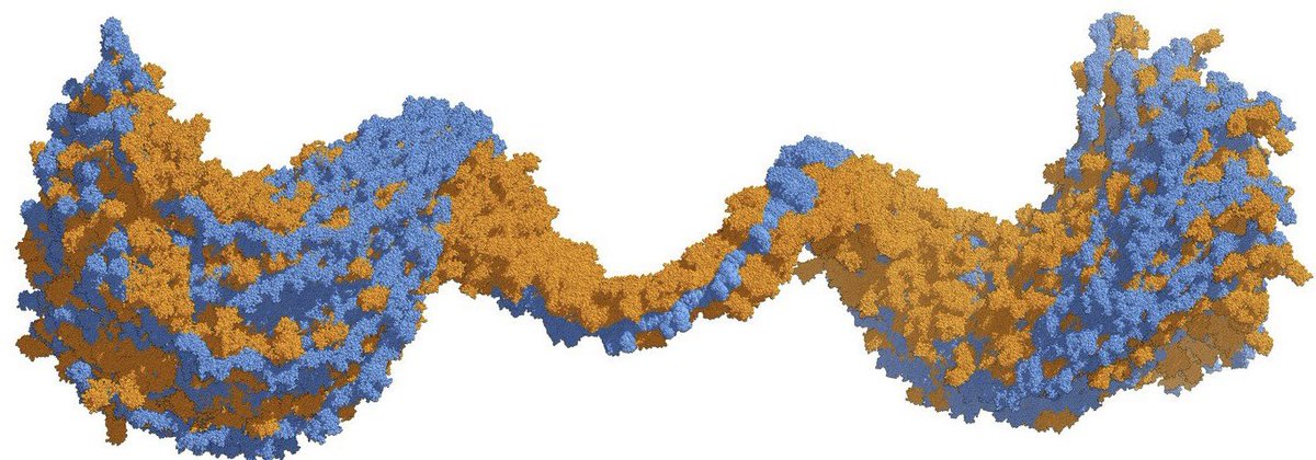 Kresten Lindorff-Larsen tweet media