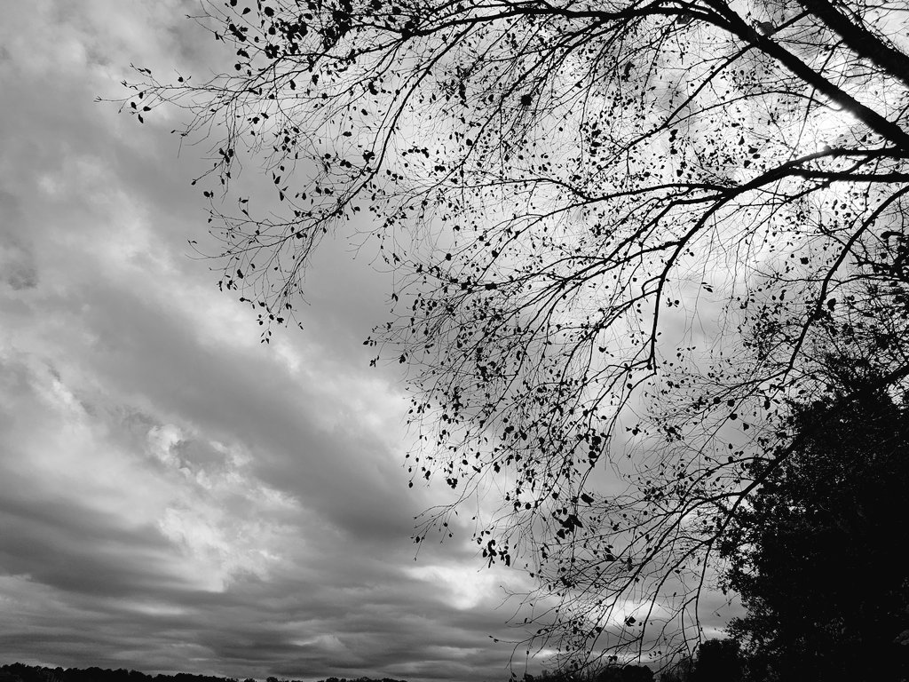 AcyRunway13's tweet image. Clearly -
   Her muddled heart
      Only offered
         Clouded answers...

@only8words #Only8Words #Clouded_Answers #Poetry