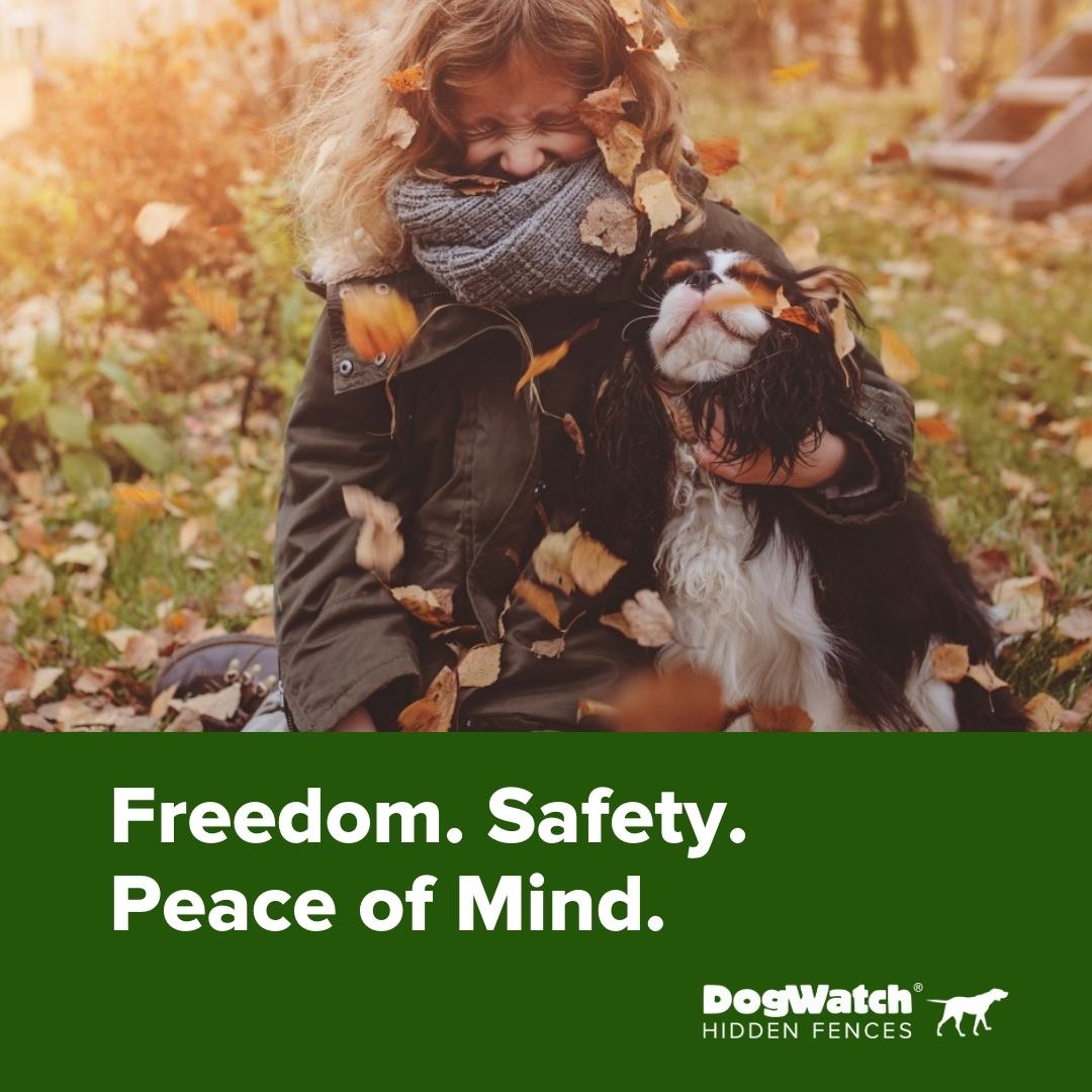 Ready to unleash your dog? 👍🐾

Our local DogWatch Dealers' schedules are filling up fast. Don't miss your chance to schedule your hidden dog fence install this fall! Visit bit.ly/40qz408 to fetch a free quote today! 🍂🎃

#CustomerExperience #CustomerService #ShopLocal