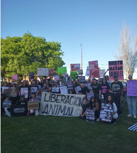 noalacuerdo's tweet photo. ROSARIO MARCHO POR EL DIA INTERNACIONAL DEL VEGANISMO

CONTRA LA OPRESION ANIMAL
CONTRA EL ESPECISMO
CONTRA UNA INJUSTICIA LEGITIMADA, NATURALIZADA, NINGUNEADA Y SILENCIADA

LIBERACION ANIMAL

VEGANISMO ES JUSTICIA https://t.co/LrSpkL1xGJ