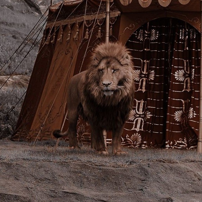 Chronicles of Narnia Aslan he's Not a Tame 