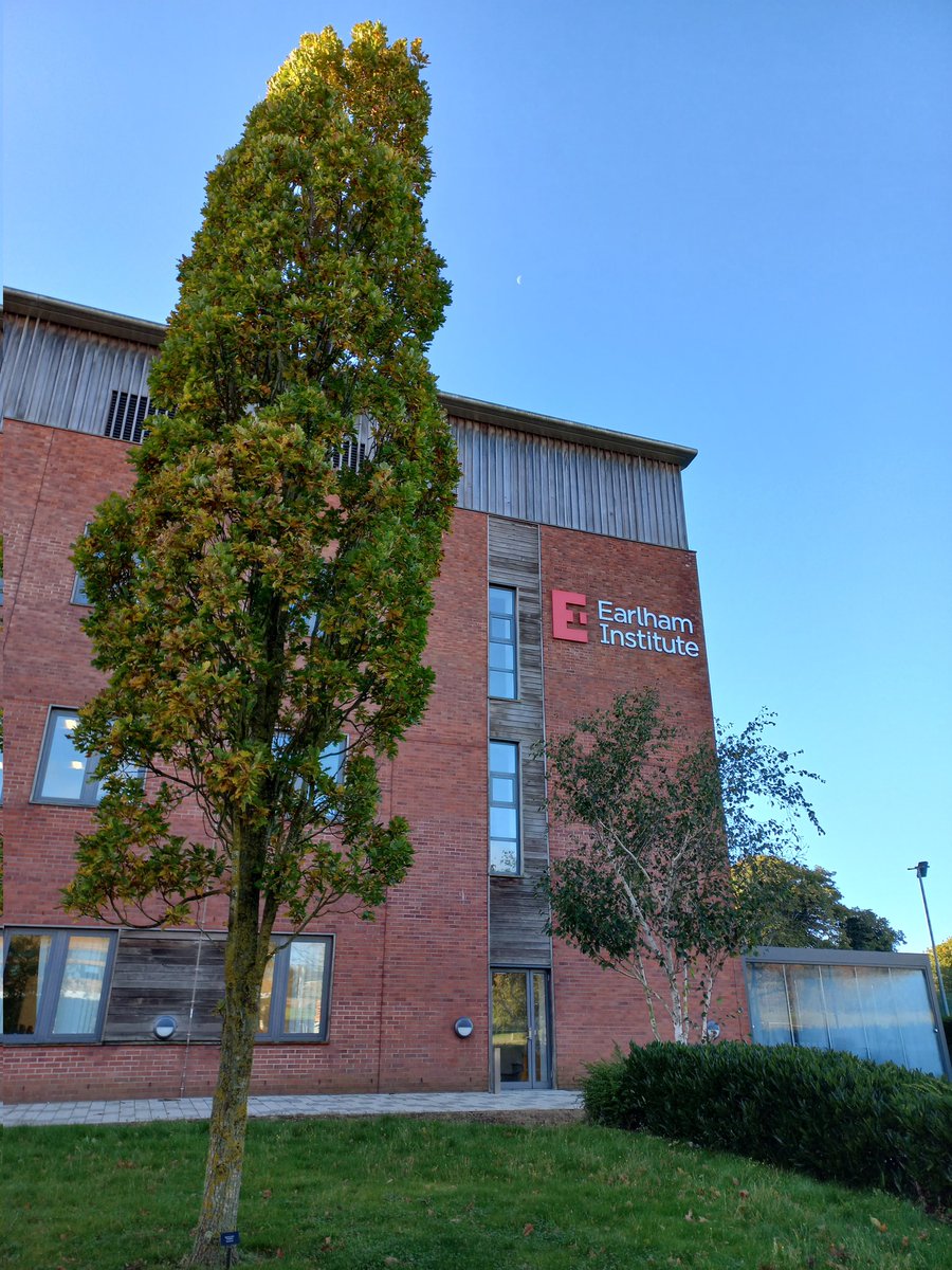 Debora Desantis tweet media