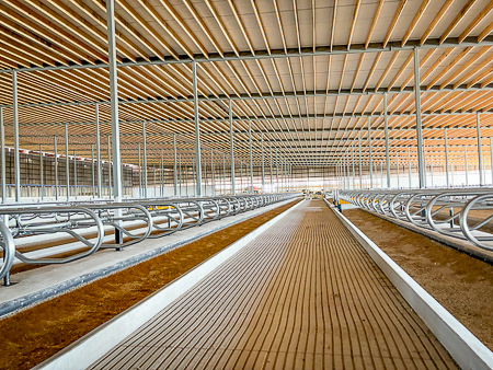 FoxCitiesBuild's tweet image. 🏗️We’re back at Dairyland Farm!

Stalls are going in, steel is going up, cows will be moving in soon!!

#dairylandfarm #newaddition #freestallbarn #newbarn #AgConstruction #foxcitiesbuilders #generalcontractor