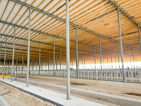 FoxCitiesBuild's tweet image. 🏗️We’re back at Dairyland Farm!

Stalls are going in, steel is going up, cows will be moving in soon!!

#dairylandfarm #newaddition #freestallbarn #newbarn #AgConstruction #foxcitiesbuilders #generalcontractor