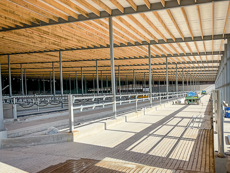 FoxCitiesBuild's tweet image. 🏗️We’re back at Dairyland Farm!

Stalls are going in, steel is going up, cows will be moving in soon!!

#dairylandfarm #newaddition #freestallbarn #newbarn #AgConstruction #foxcitiesbuilders #generalcontractor