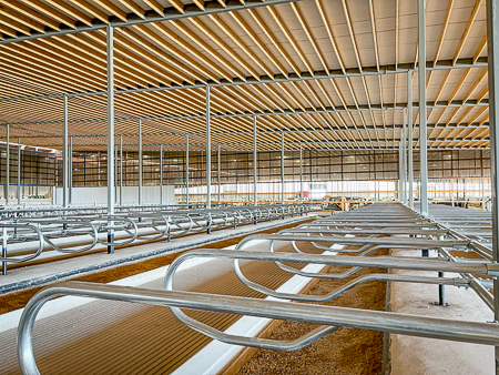 FoxCitiesBuild's tweet image. 🏗️We’re back at Dairyland Farm!

Stalls are going in, steel is going up, cows will be moving in soon!!

#dairylandfarm #newaddition #freestallbarn #newbarn #AgConstruction #foxcitiesbuilders #generalcontractor