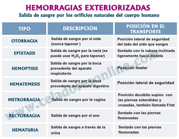 Nuevo Test Online sobre PRIMEROS AUXILIOS... F-SHOdtXwAA75JE?format=jpg&name=small