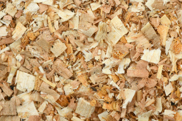 KBStumps's tweet image. From wood chipping to stump grinding, KB Stump Grinding LLC offers a comprehensive range of services. Let us transform your property: kbstumpgrinding.com. #CompleteTreeService #ProfessionalCare