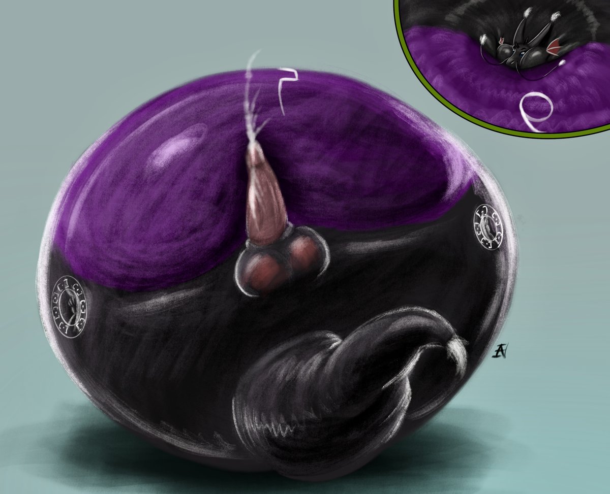 Ian-exe 🔜FE2026 tweet media