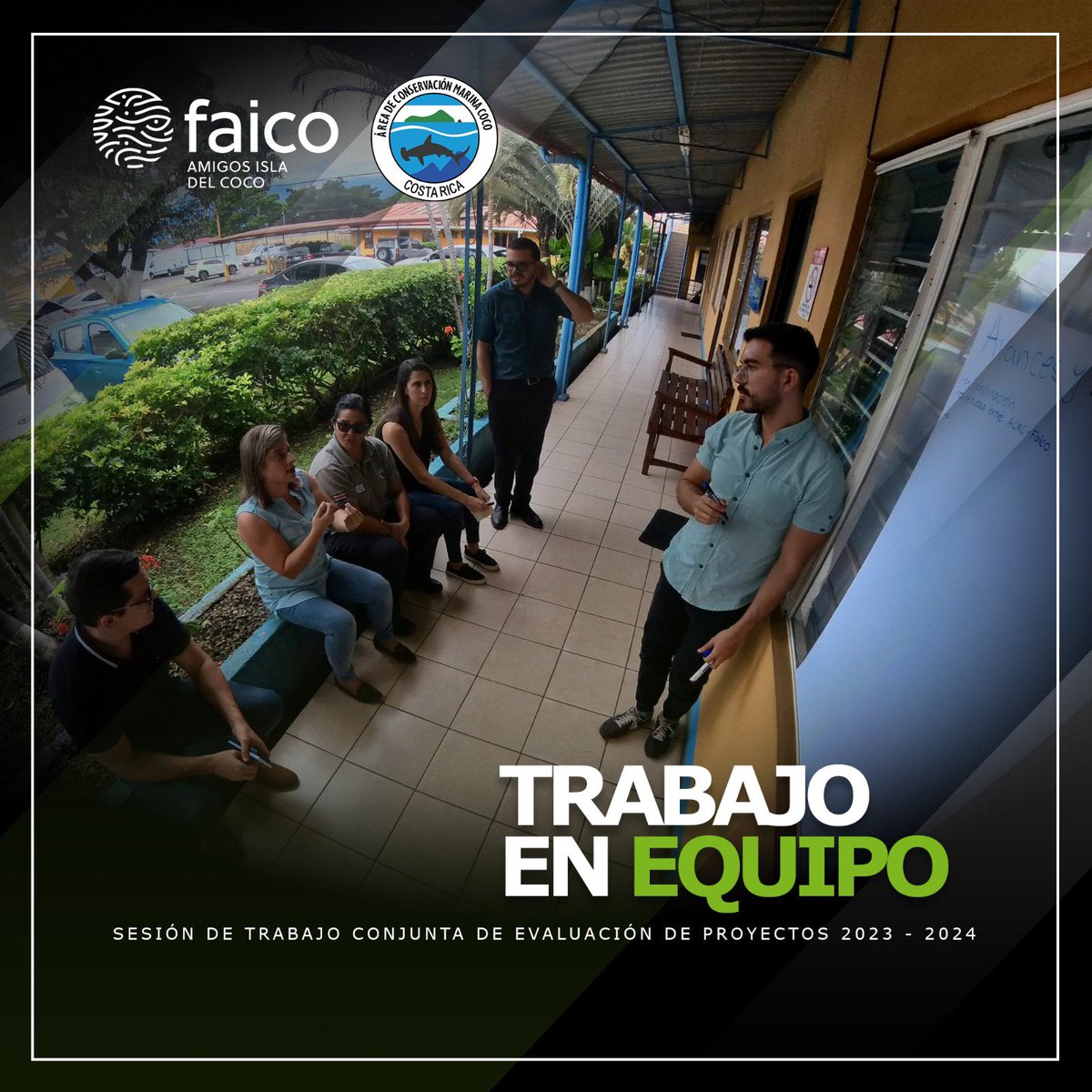 Amigos Isla del Coco (Faico) tweet media