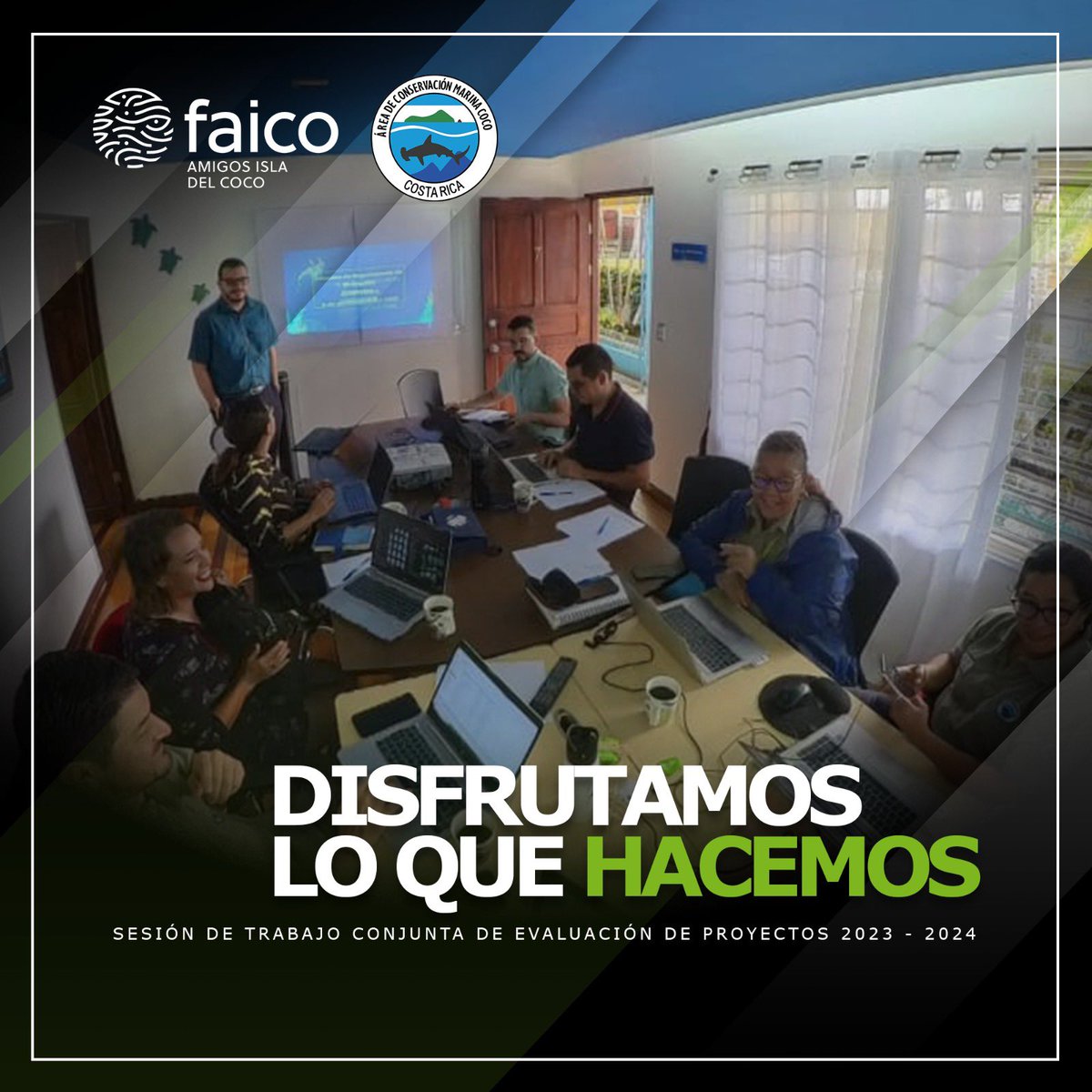 Amigos Isla del Coco (Faico) tweet media