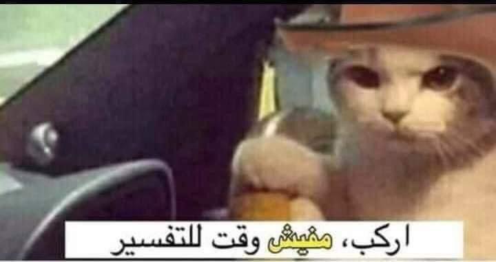 فالكاو لما انقذ ميكاسا: