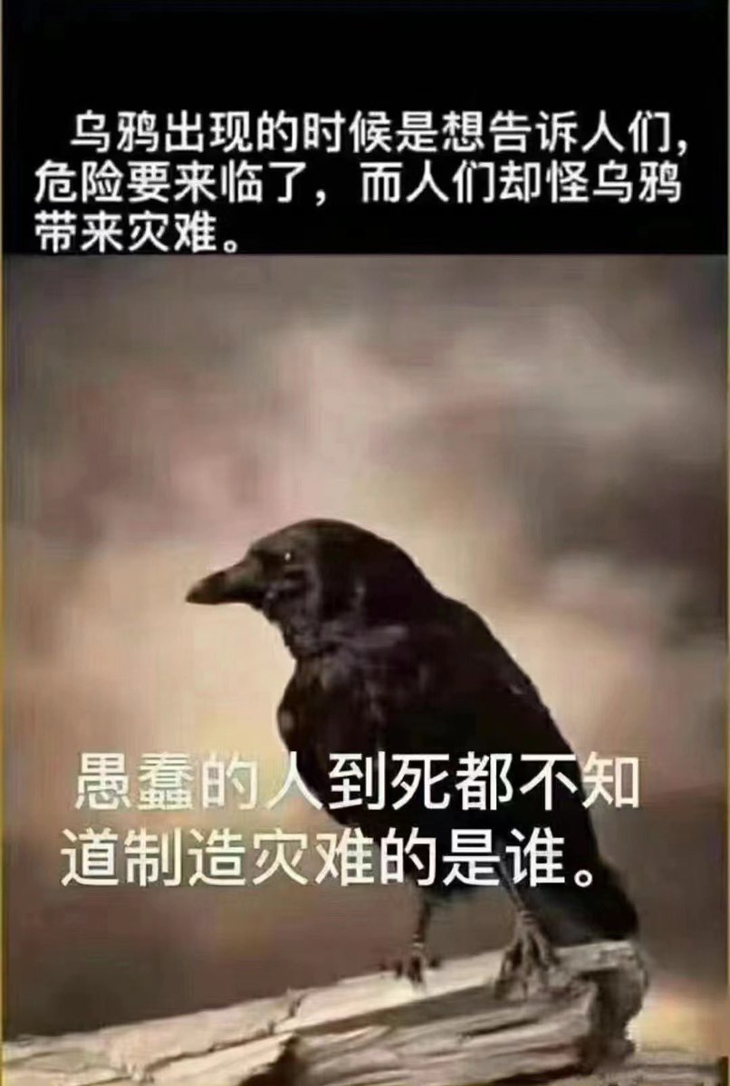 jason wang (@jason27873170) on Twitter photo 