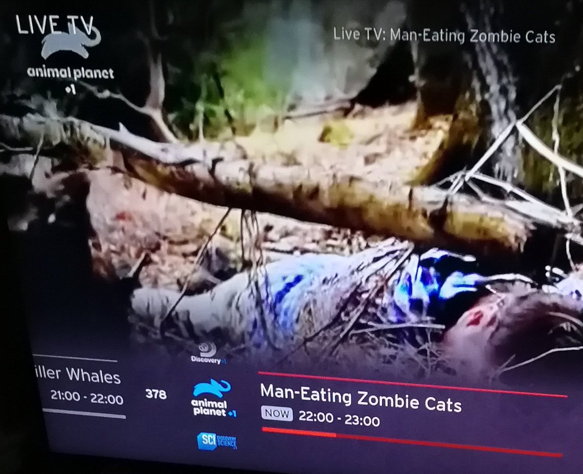 AshleyUK99's tweet image. It was a close call, TV was so bad tonight almost resulted in me watching #SpursvChelsea or even worse #BBUK!! Thank gawd for 🧟‍♀️🐱😼😹👇