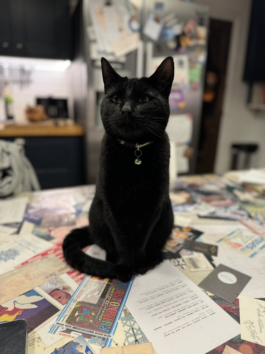 Luke Ribbons tweet media